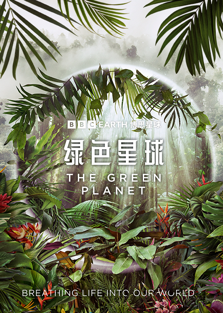 绿色星球封面图