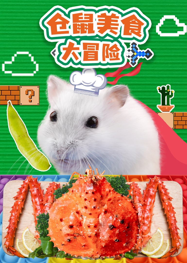 仓鼠美食大冒险封面图