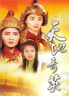 天地奇英之花木兰封面图