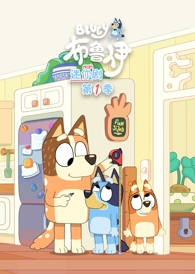 布鲁伊迷你剧封面图