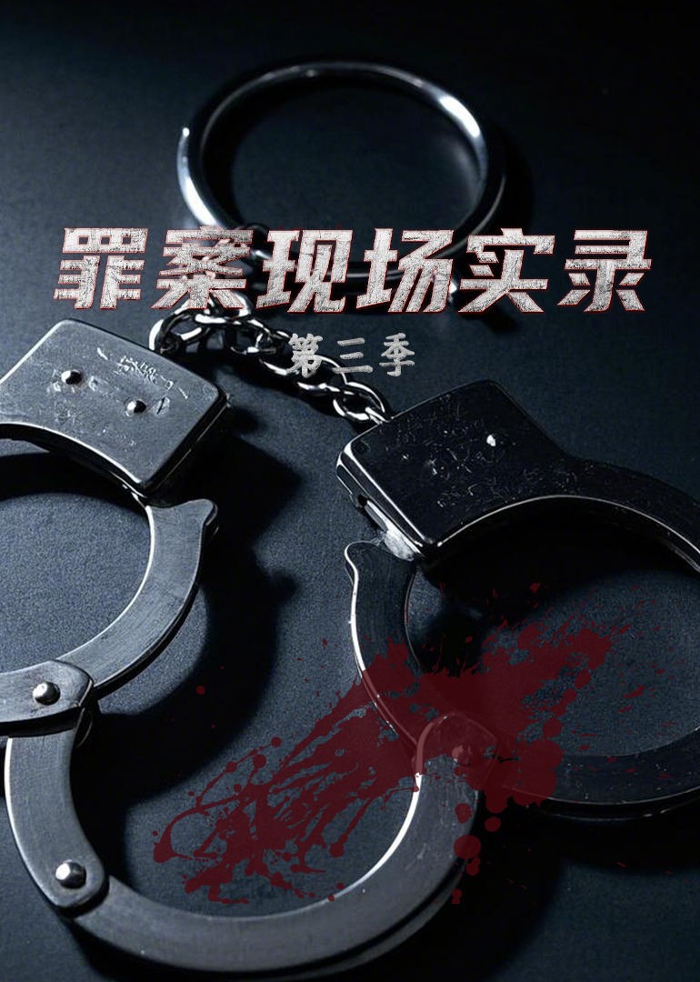 罪案现场实录第三季封面图