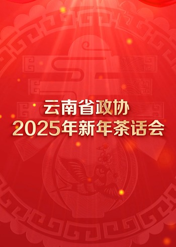 云南省年新年茶话会文艺演出封面图