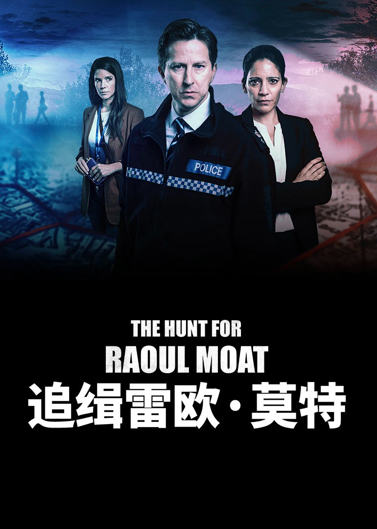 追缉雷欧莫特封面图