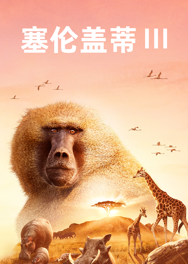 塞伦盖蒂第三季封面图