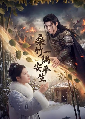 桑竹一隅安平生封面图