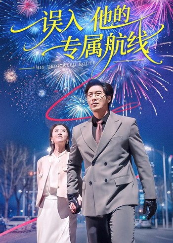 误入他的专属航线封面图