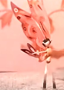 湖上歌舞封面图