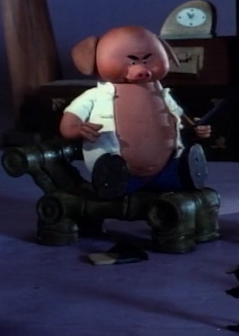 老猪选猫封面图