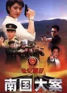 南国大案封面图
