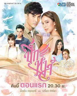 天鹅羽翼封面图