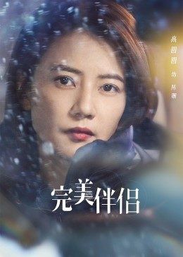 完美伴侣DVD版封面图