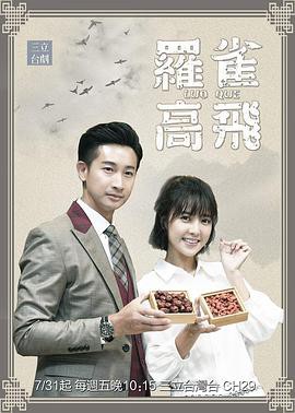 罗雀高飞封面图