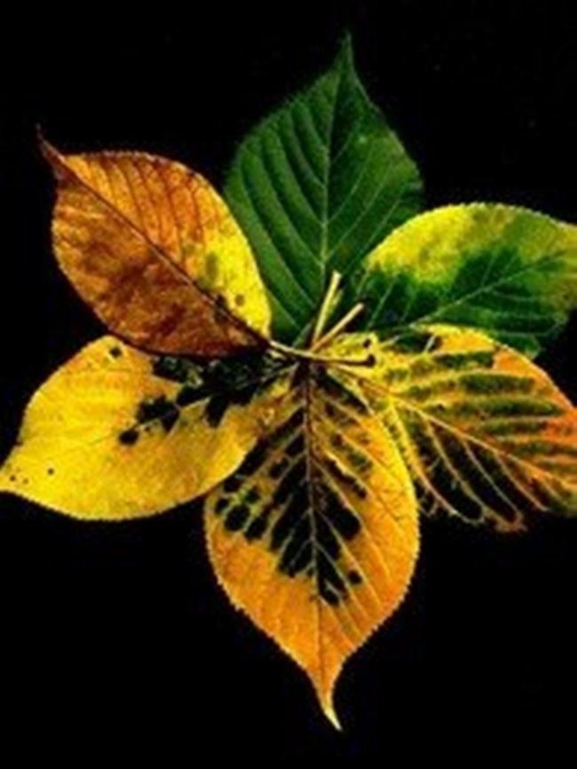 生死与轮回封面图