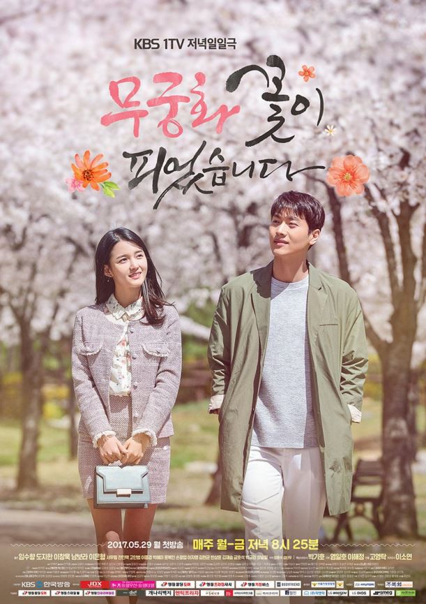 木槿花开了封面图